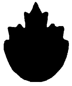 Symbol for national safety mark consisting of a top half of a maple leaf attached to the bottom half of a circle