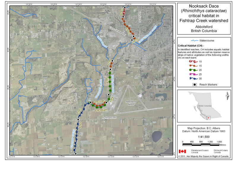 Map 3 is a map of the Fishtrap Creek watershed in Abbotsford, British Columbia that indicates the locations of stream reaches that have been identified as critical habitat for Nooksack dace in the Recovery Strategy for the Nooksack dace in Canada (2008). In the identified reaches, critical habitat includes all aquatic habitats as well as riparian reserve strips of native vegetation on each side of the stream. The riparian reserve strips of native vegetation extend from the top of the bank on each side of the stream to the widths specified by the symbol used to identify the reach on the map. The coordinates for the start and end point of each critical habitat reach and the widths specified for the riparian reserve strips associated with each reach are listed in Table 1. Reaches on the map are labelled with codes that correspond to codes used to identify the reach in Table 1.