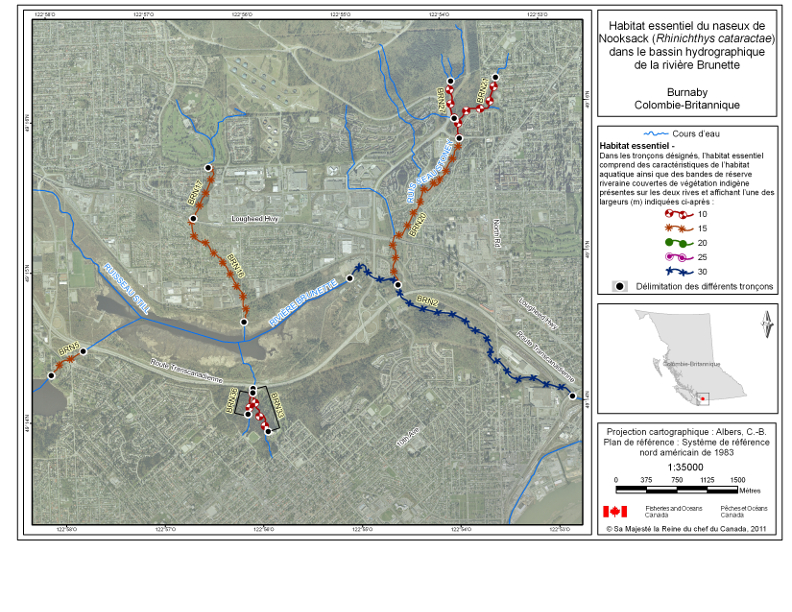 La carte 2 est une carte représentant le bassin hydrographique de la rivière Brunette à Burnaby, New Westminster et Coquitlam qui indique les emplacements de tronçons de cours d’eau ayant été désignés en tant qu’habitat essentiel du naseux de Nooksack dans le Programme de rétablissement du naseux de Nooksack au Canada (2008). L’habitat essentiel au sein de ces tronçons englobe tous les habitats aquatiques ainsi que les bandes de réserve riveraines de végétation indigène. Les bandes de réserve riveraines de végétation indigène s’étendent depuis le haut de la rive de chaque côté du cours d’eau et sur les largeurs précisées par le symbole utilisé pour déterminer le tronçon sur la carte. Les coordonnées du point marquant le début et du point marquant la fin de chaque tronçon comportant un habitat essentiel et les largeurs précisées des bandes de réserve riveraine associées à chaque tronçon sont indiquées dans le tableau 1. Les tronçons présentés sur la carte sont étiquetés avec des codes correspondant aux codes utilisés pour définir le tronçon dans le tableau 1.