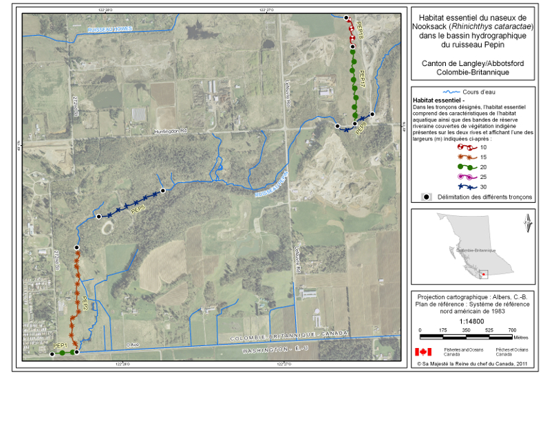 La carte 4 est une carte représentant le bassin hydrographique du ruisseau Pepin dans le canton de Langley et dans la ville d’Abbotsford, en Colombie-Britannique, qui indique les emplacements de tronçons de cours d’eau ayant été désignés en tant qu’habitat essentiel du naseux de Nooksack dans le Programme de rétablissement du naseux de Nooksack au Canada (2008). L’habitat essentiel au sein de ces tronçons englobe tous les habitats aquatiques ainsi que les bandes de réserve riveraines de végétation indigène. Les bandes de réserve riveraines de végétation indigène s’étendent depuis le haut de la rive de chaque côté du cours d’eau et sur les largeurs précisées par le symbole utilisé pour déterminer le tronçon sur la carte. Les coordonnées du point marquant le début et du point marquant la fin de chaque tronçon comportant un habitat essentiel et les largeurs précisées des bandes de réserve riveraine associées à chaque tronçon sont indiquées dans le tableau 1. Les tronçons présentés sur la carte sont étiquetés avec des codes correspondant aux codes utilisés pour définir le tronçon dans le tableau 1.