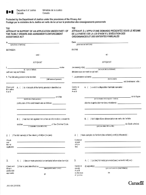 T02 Affidavit in Support of an Application under Part I of the Family Orders and Agreements Enforcement Assistance Act form